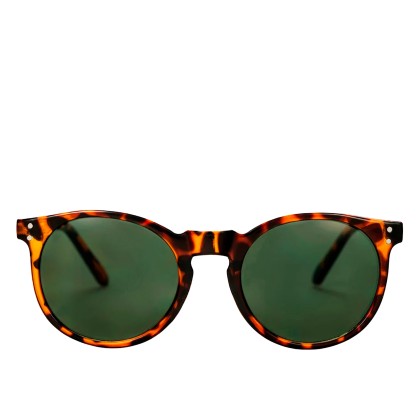 culos De Sol Chpo Oculos Brand Toro Turtle Brown/green