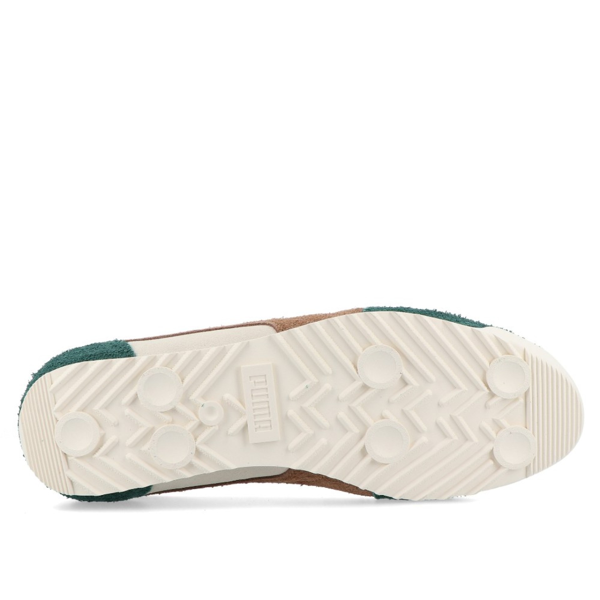 Puma Arizona Suede - Frosted Ivory-haute Coffee