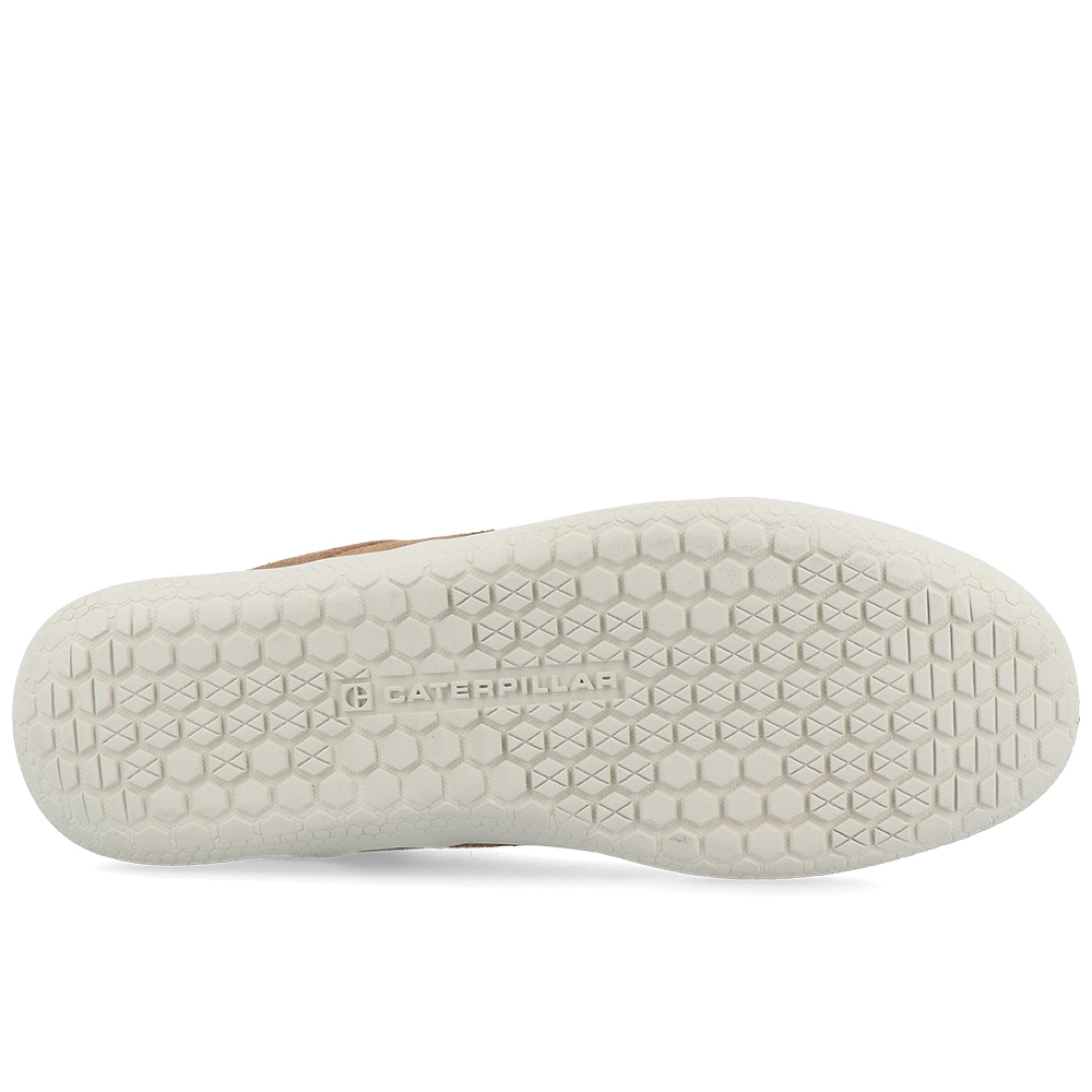 Caterpillar Hex Stat Dachshund