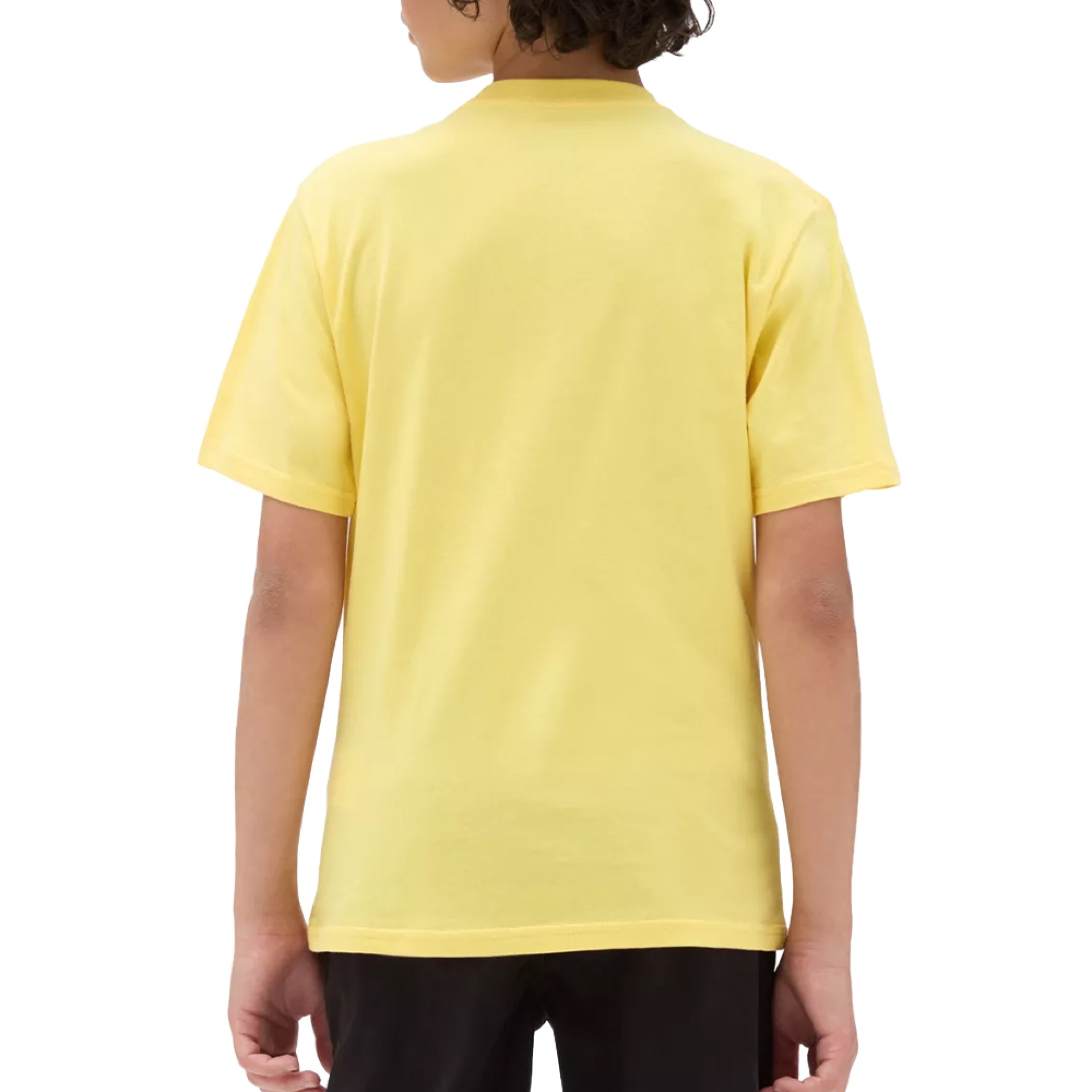 Vans T-shirt By Left Chest Tee Boys Samoan