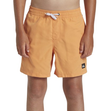 Cales De Praia Quiksilver Everday Solid Volley Njf0