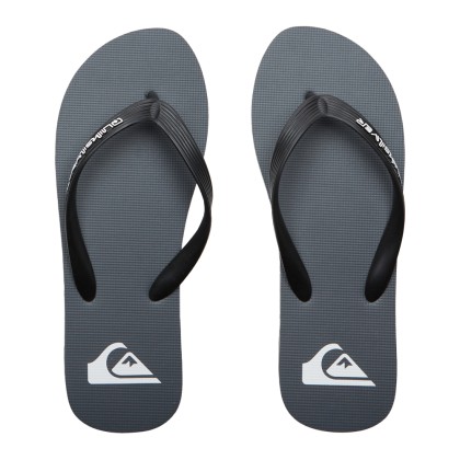 Chinelos Quiksilver Chinelo Molokai Core Syj1