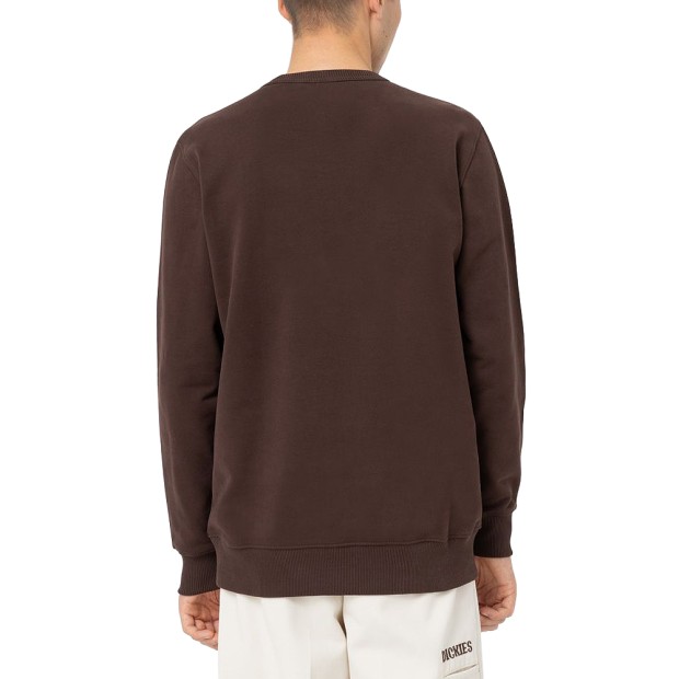 Sweat Dickies Sweat Aitkin Sweatshirt Java