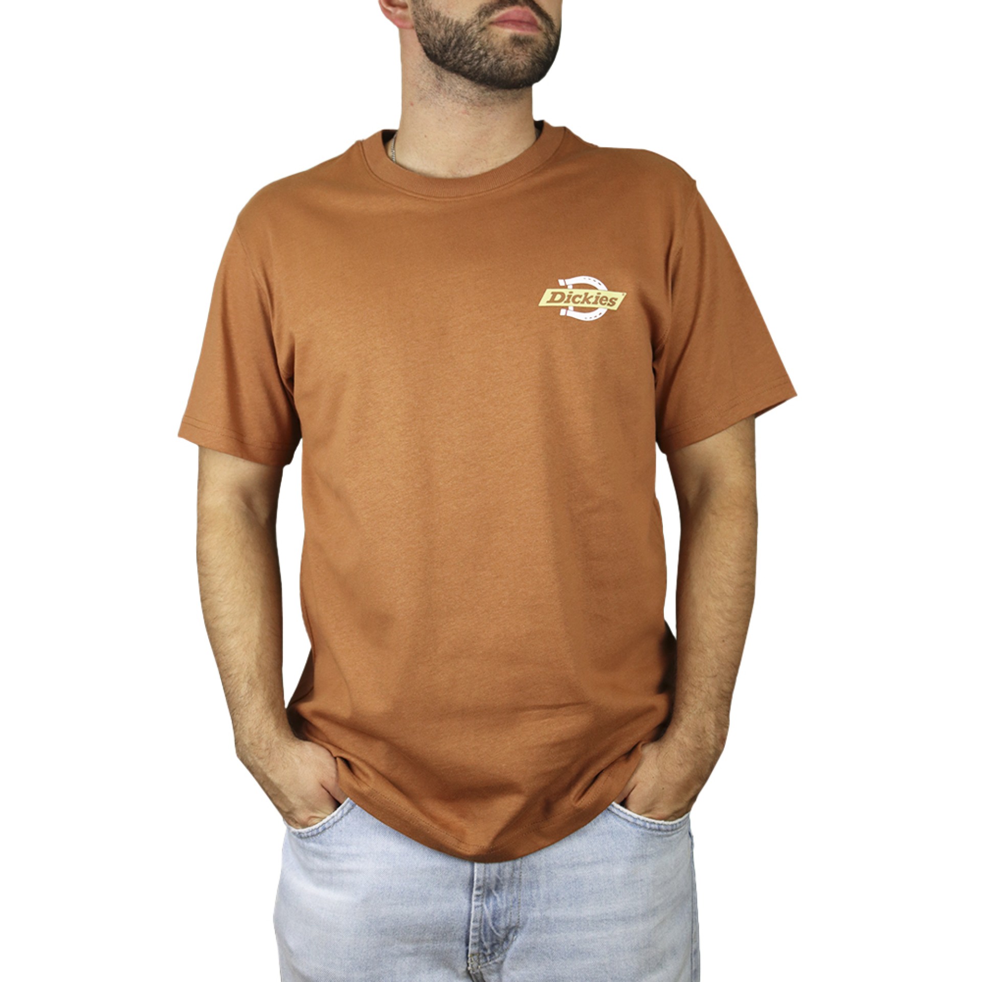 Dickies T-shirt Ruston Moka