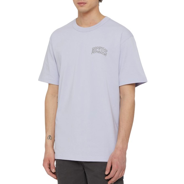 T-shirt Dickies T-shirt Aitkin Cosmic Sky