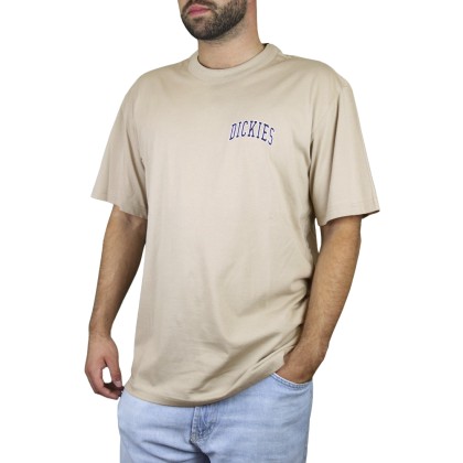 T-shirt Dickies T-shirt Aitkin Chest Sand