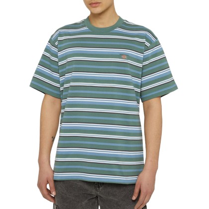 T-shirt Dickies T-shirt Glade Spring H591