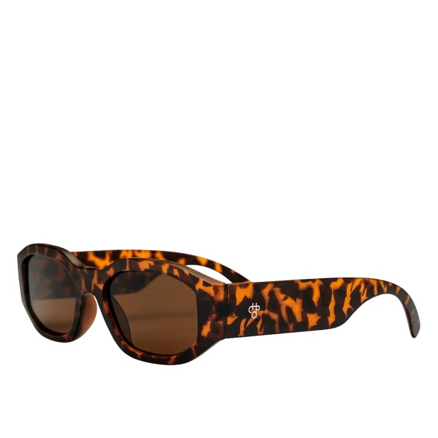 Chpo Oculos Brand Brooklyn Brown