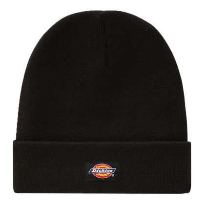 Dickies Gorro Gibsland Black