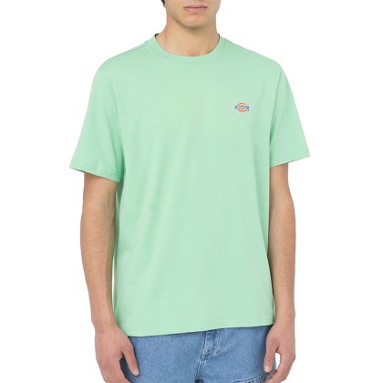 T-shirt Dickies T-shirt Mapleton Apple Mint