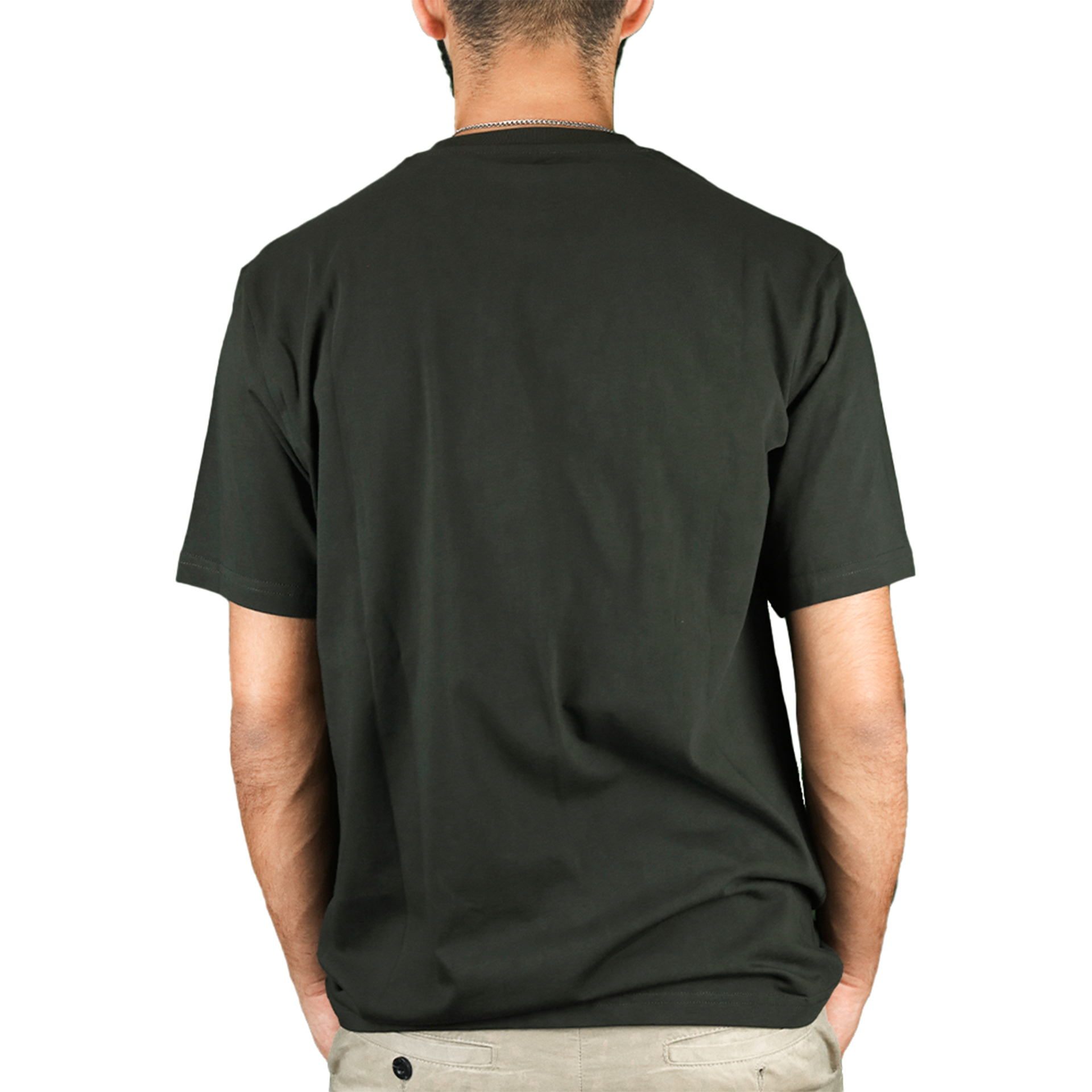 Dickies T-shirt Mapleton Olive