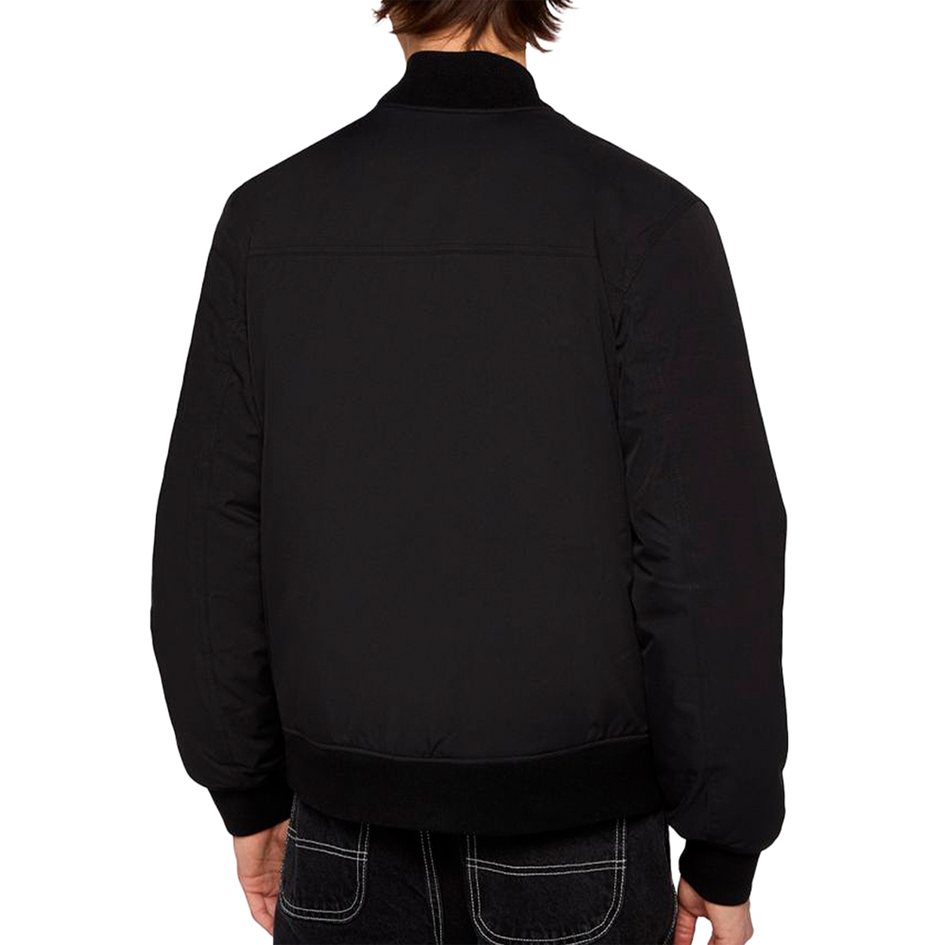 Dickies Casaco Plains Bomber