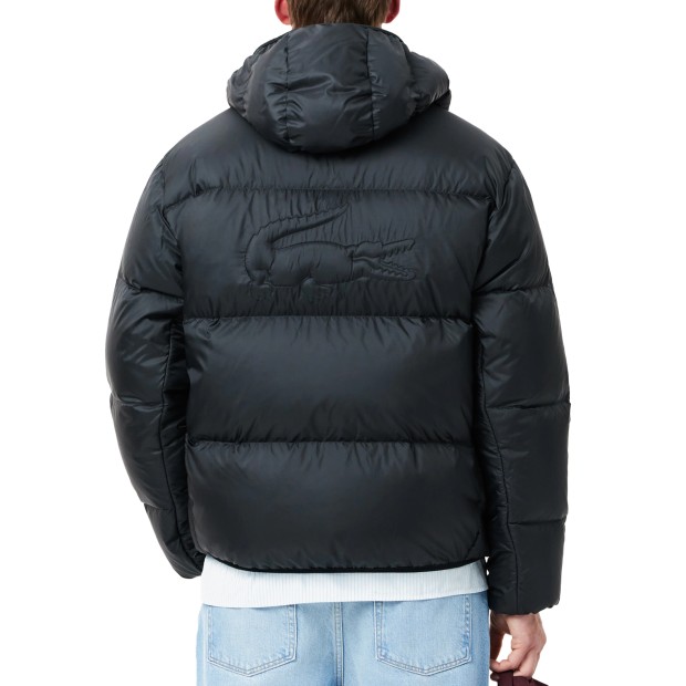 Lacoste BH2905