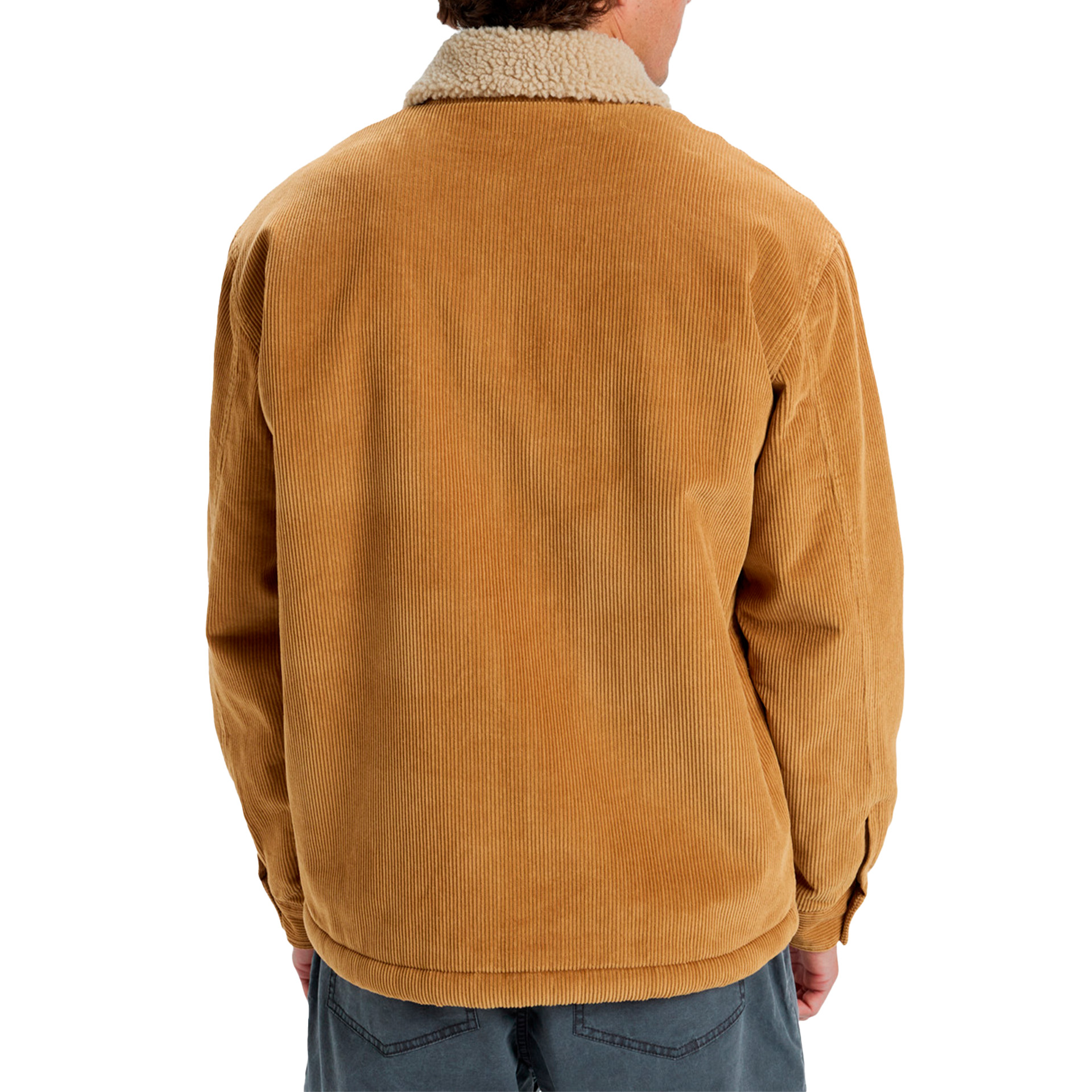 Quiksilver Dna Sherpa (cmt0)