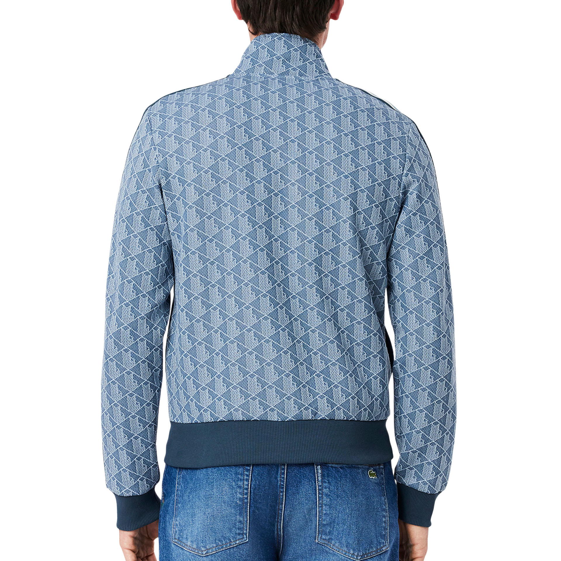 Lacoste Sh1638 Faucon/panorama Faucon/panorama