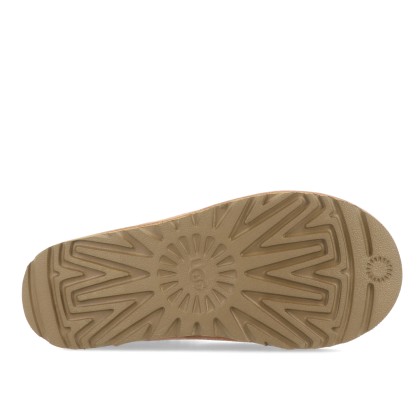 Ugg W Tasman Chestnut