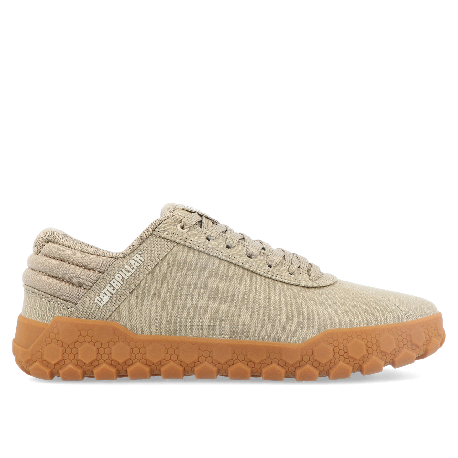 Caterpillar Hex Canvas Elmwood