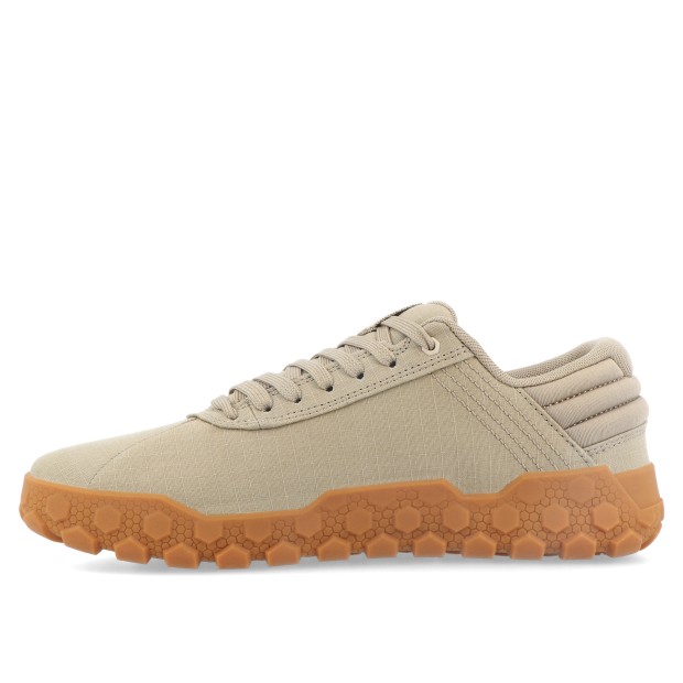Caterpillar Hex Canvas Elmwood