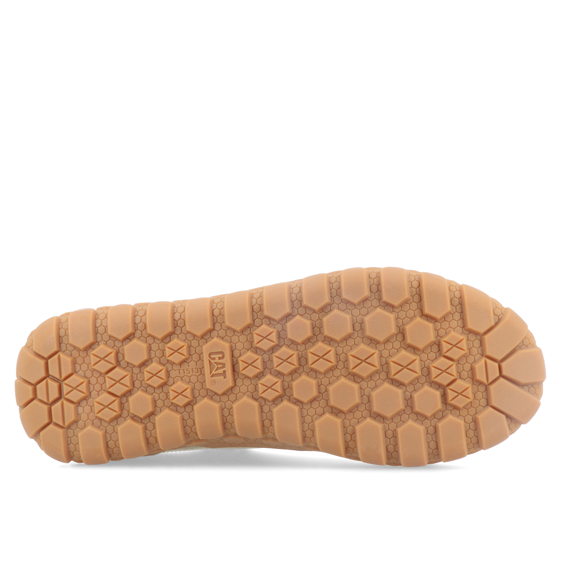 Caterpillar Hex Canvas Elmwood
