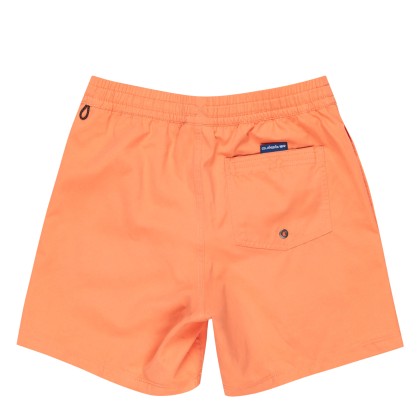 Quiksilver Everyday Melon