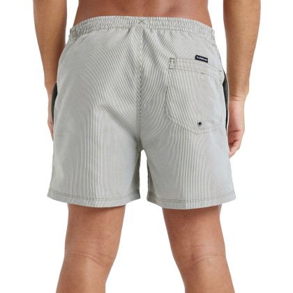 Quiksilver Deluxe 15 Grape Leaf