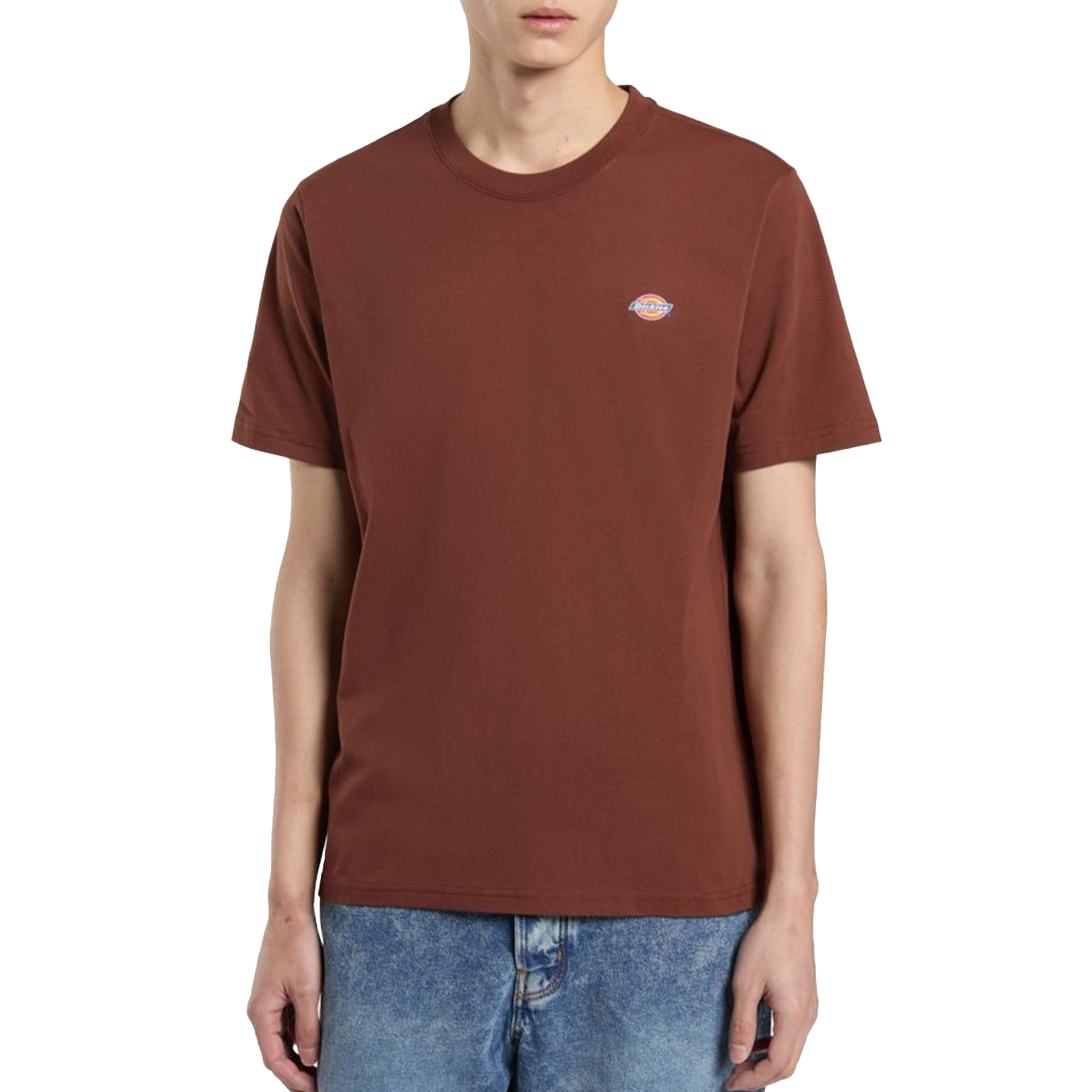 Dickies Ss Mapleton Tee Cappuccino