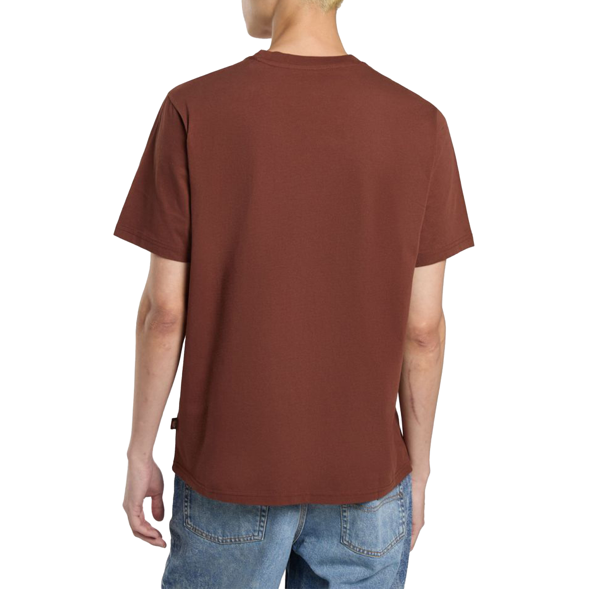 Dickies Ss Mapleton Tee Cappuccino