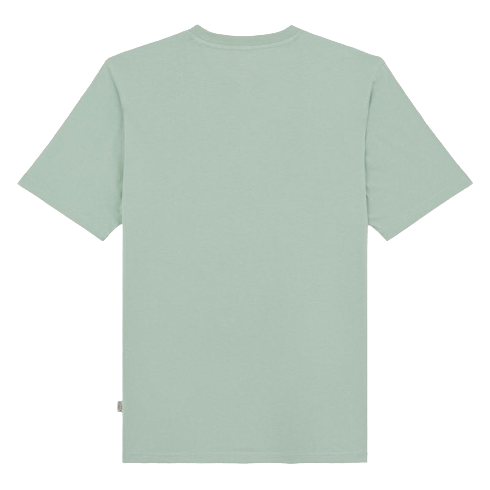 Dickies Ss Mapleton Tee Iceberg Green