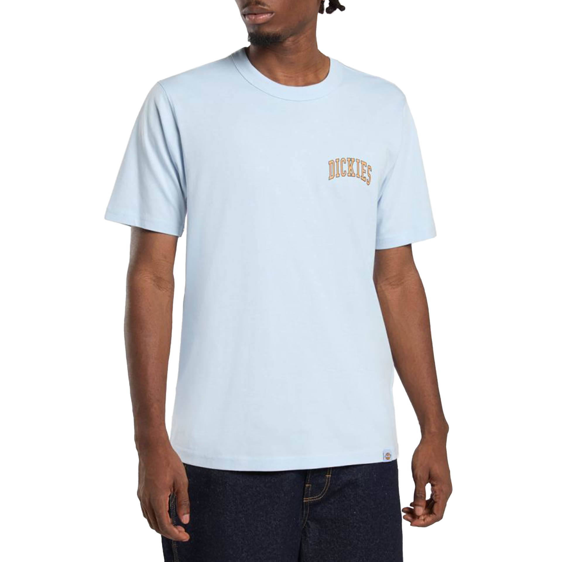 Dickies Aitkin Chest Tee Ss Skyway