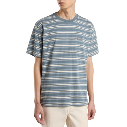 Dickies Lewistown Stripe Ss Tee Stormy Weather