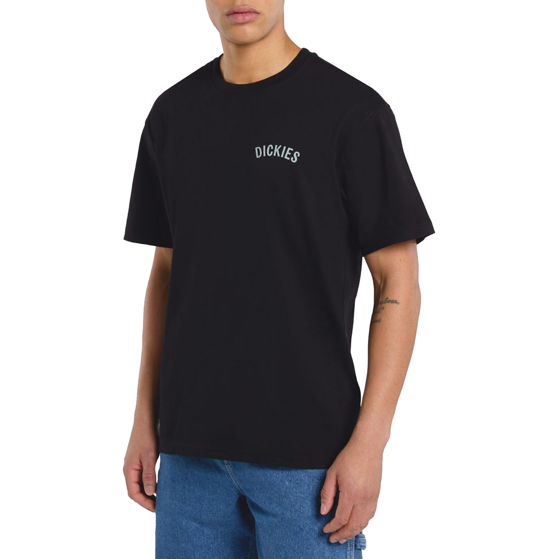 Dickies Snake Ss Tee Black
