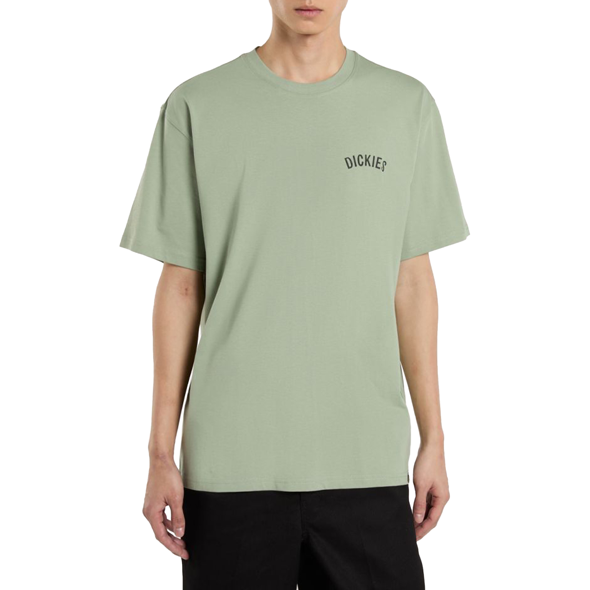 Dickies Snake Ss Tee Iceberg Green
