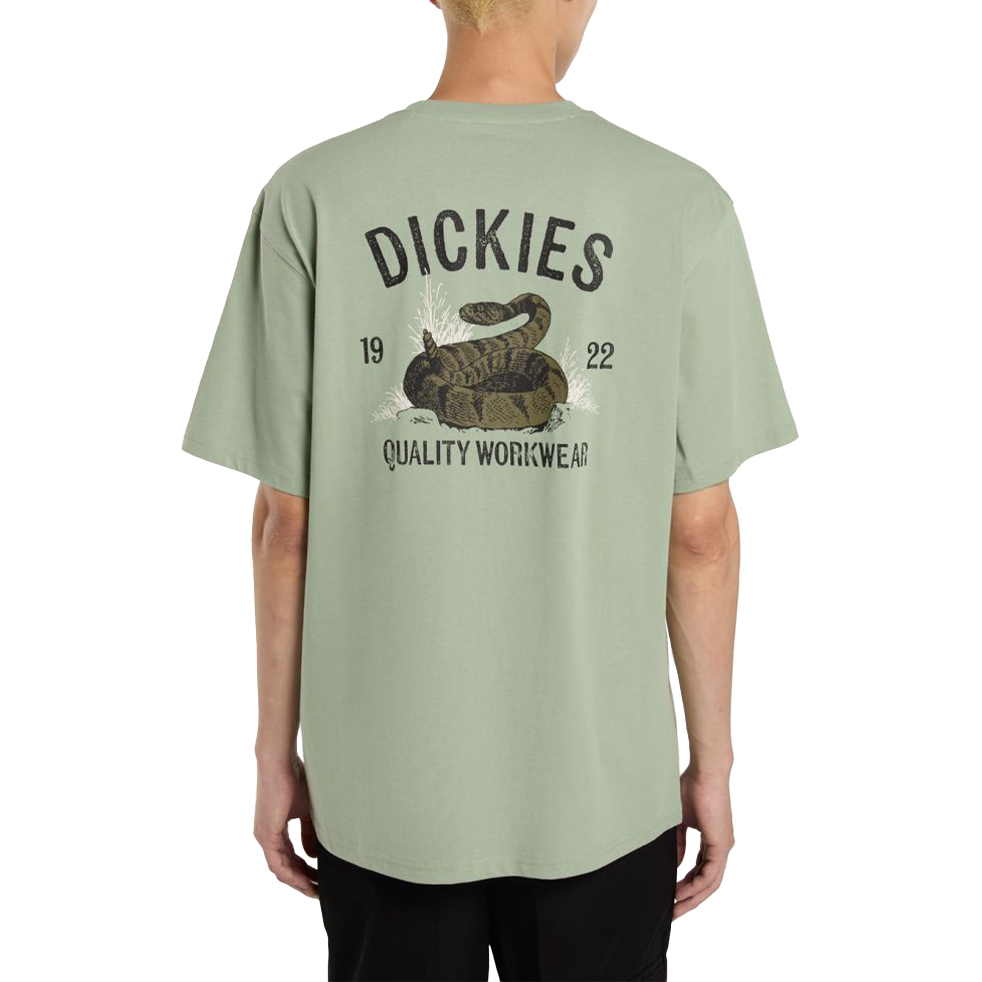 Dickies Snake Ss Tee Iceberg Green