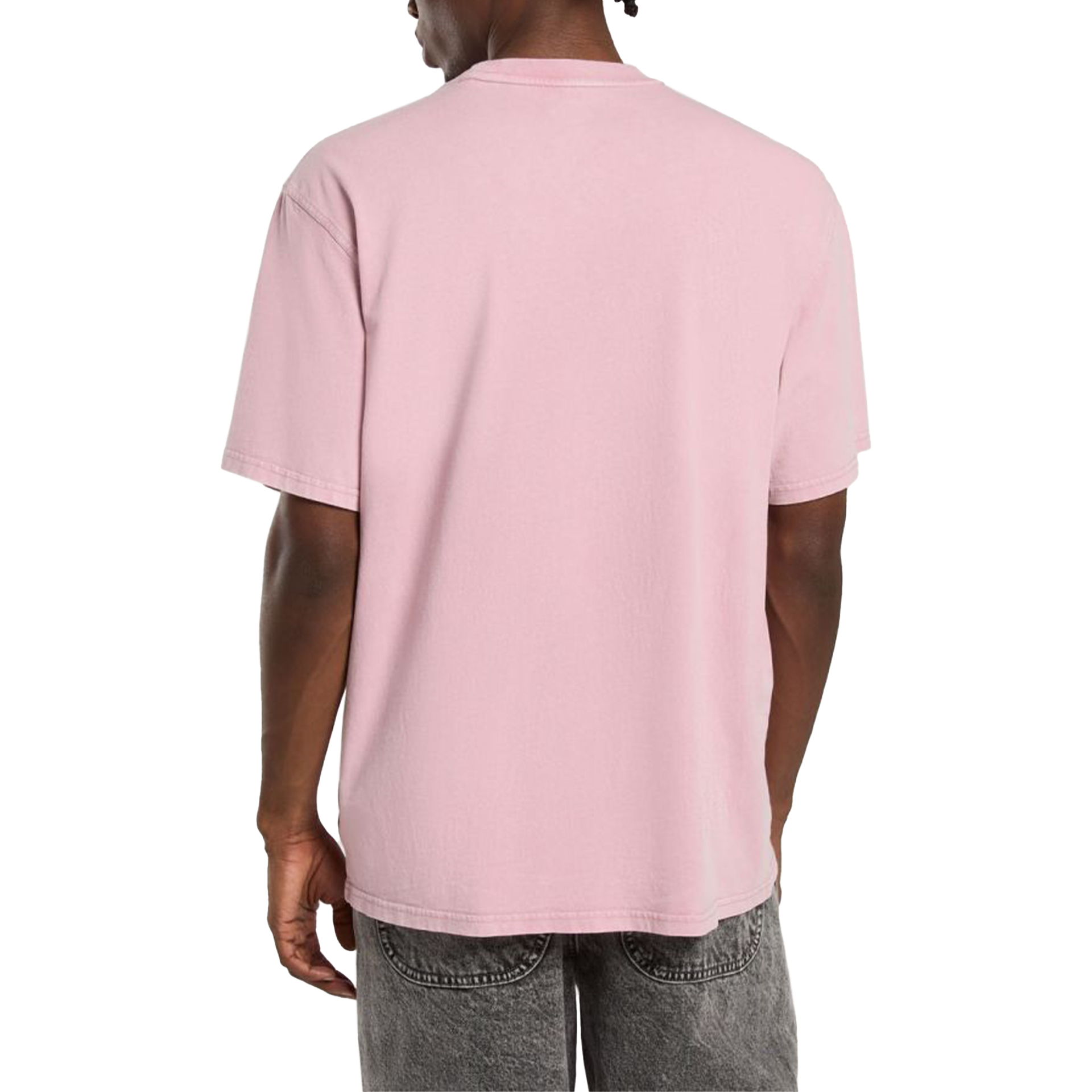 Dickies Plentywood Tee Ss Lilas