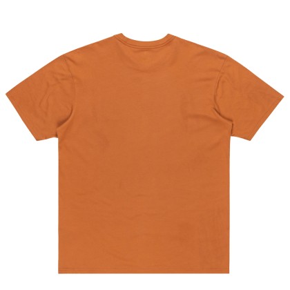 Quiksilver Salt Water Tee Bran Quiksilver Salt Water Tee Bran