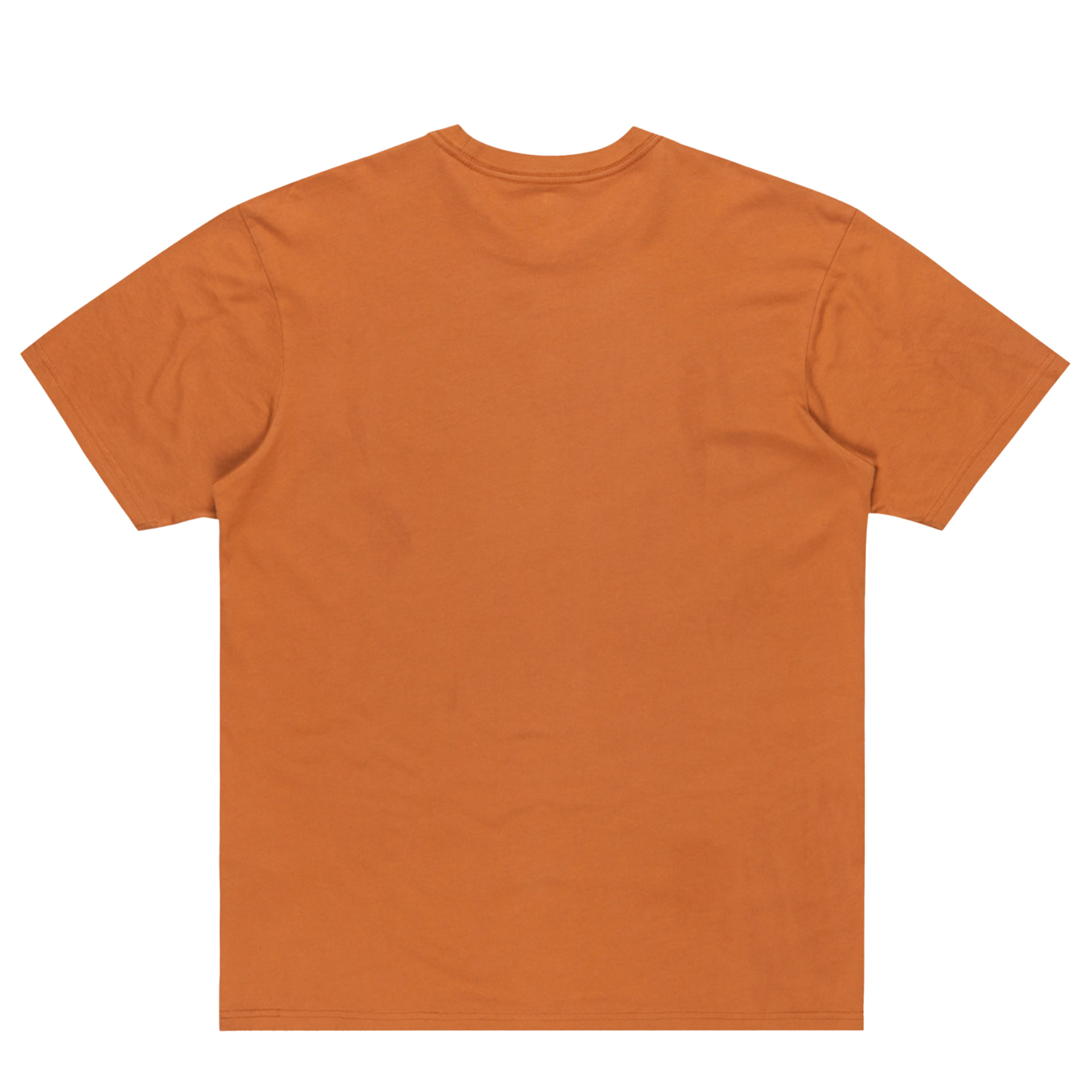 Quiksilver Salt Water Tee Bran