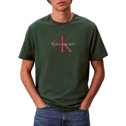Calvin Klein T-shirt Hero Monologo 20s Green