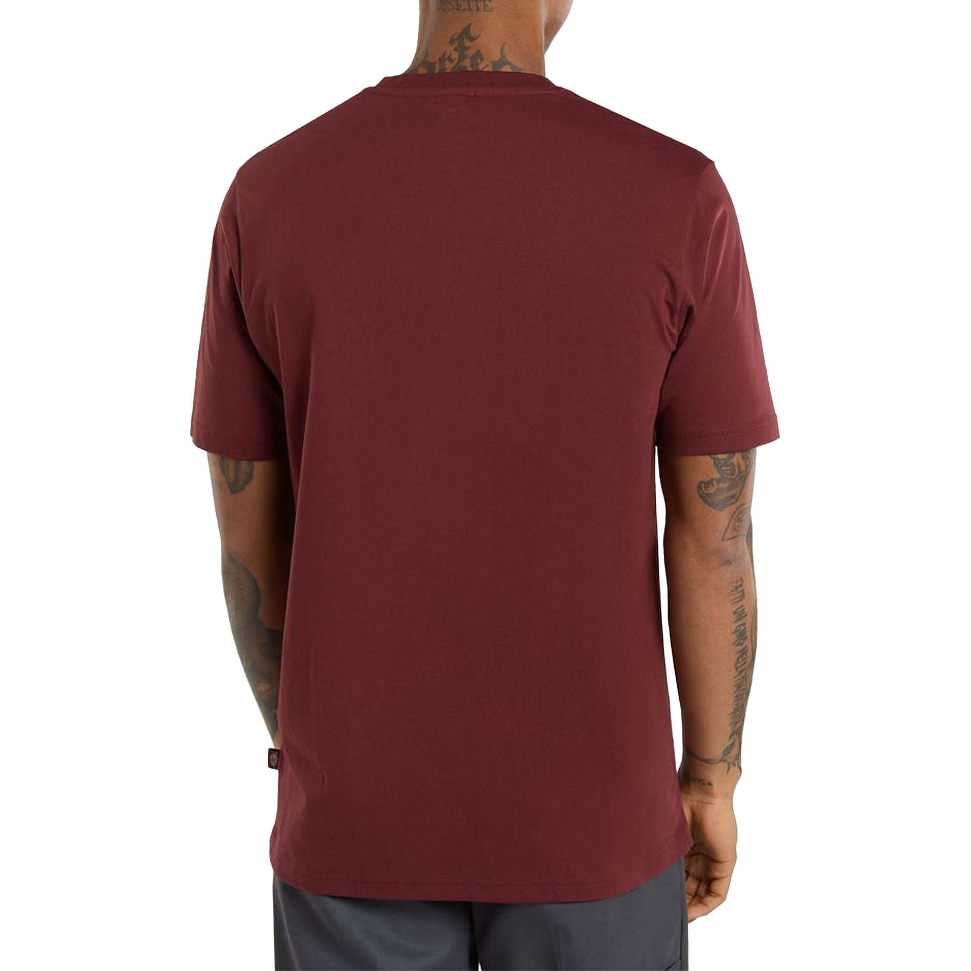 Dickies T-shirt Mapleton Andorra