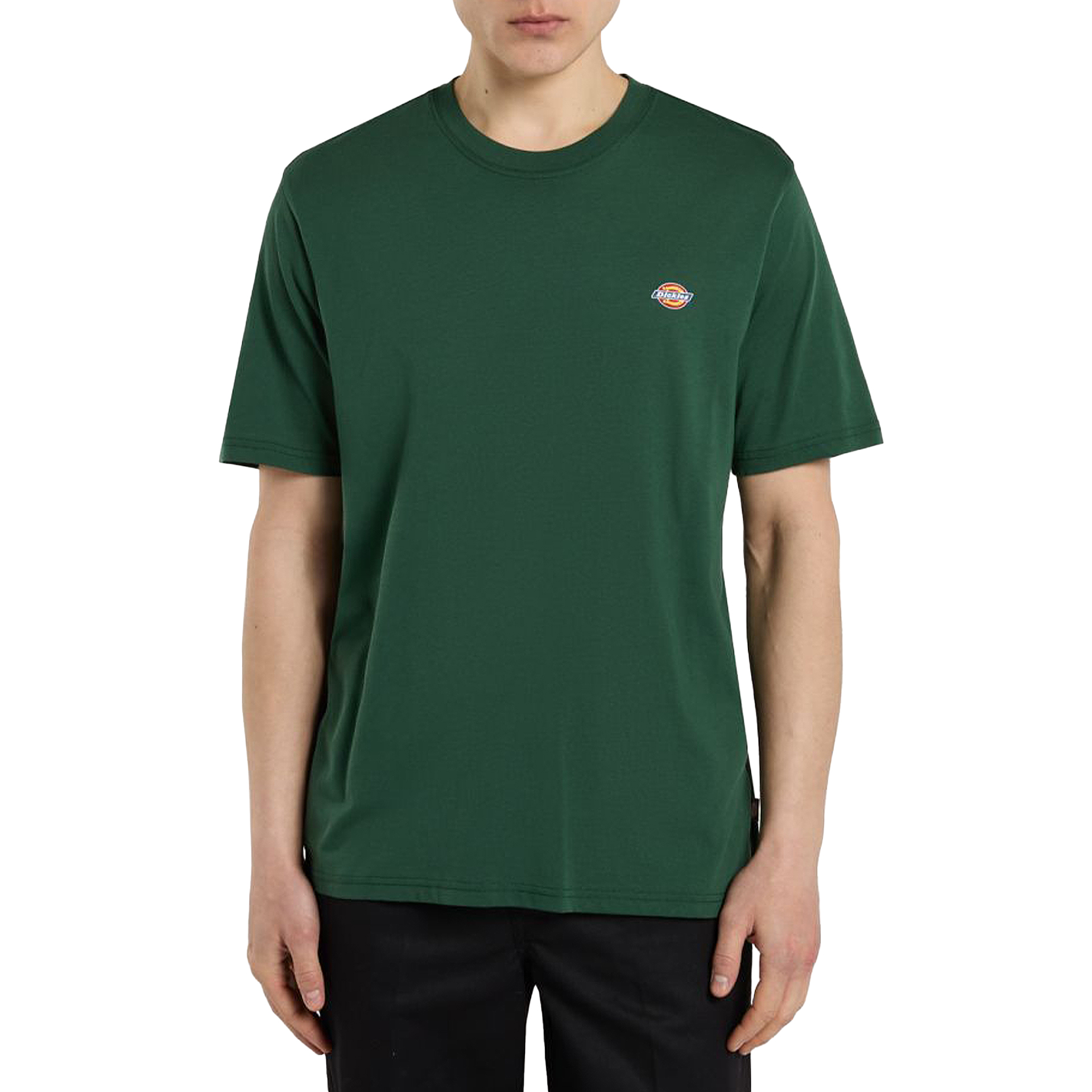 Dickies T-shirt Mapleton Pine Needle Green