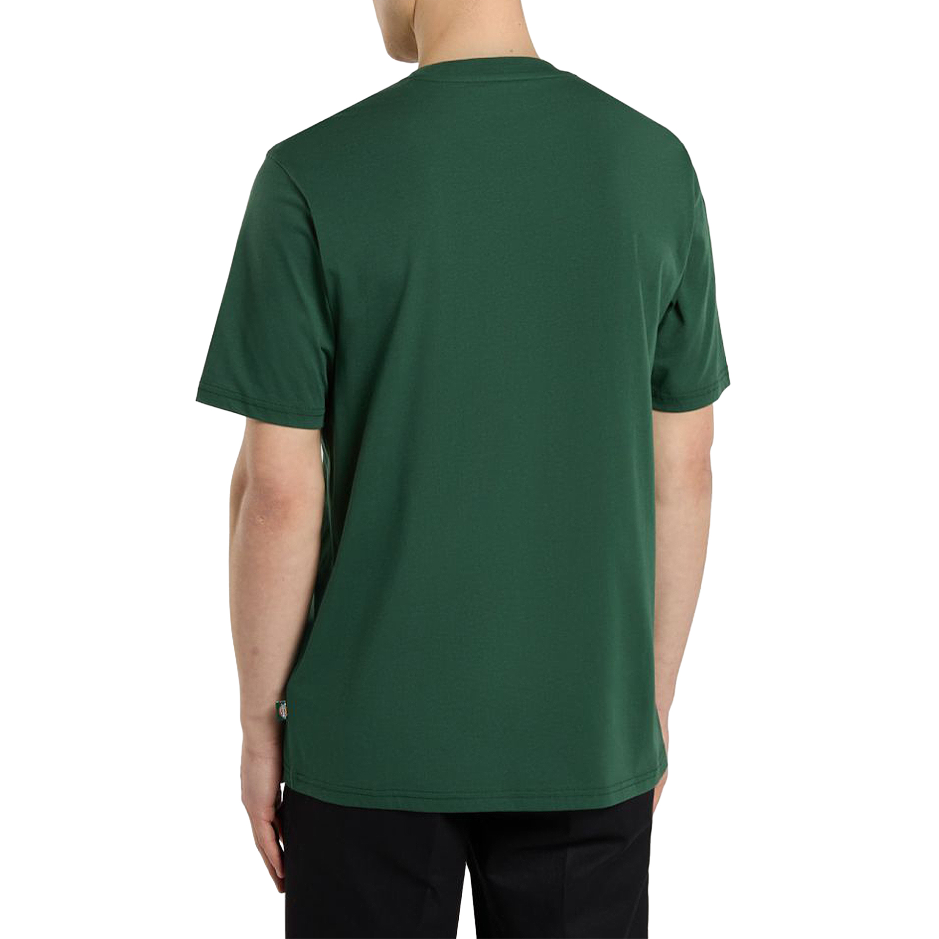 Dickies T-shirt Mapleton Pine Needle Green