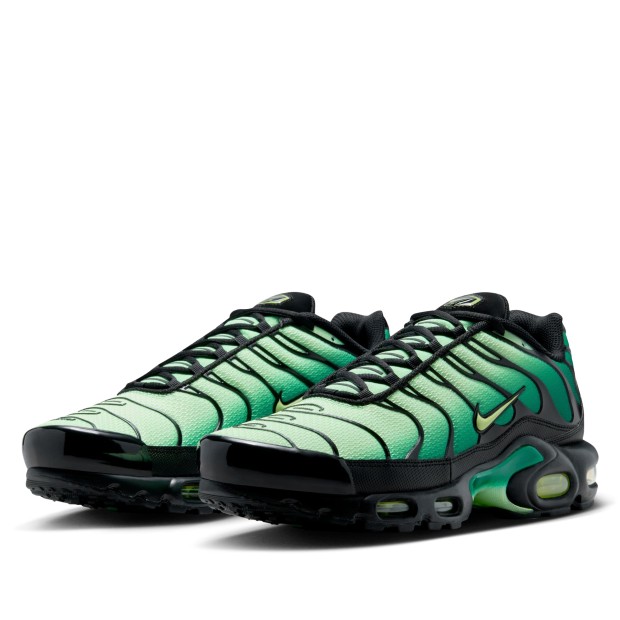 Nike Air Max Plus Vapor Green/lt Lemon