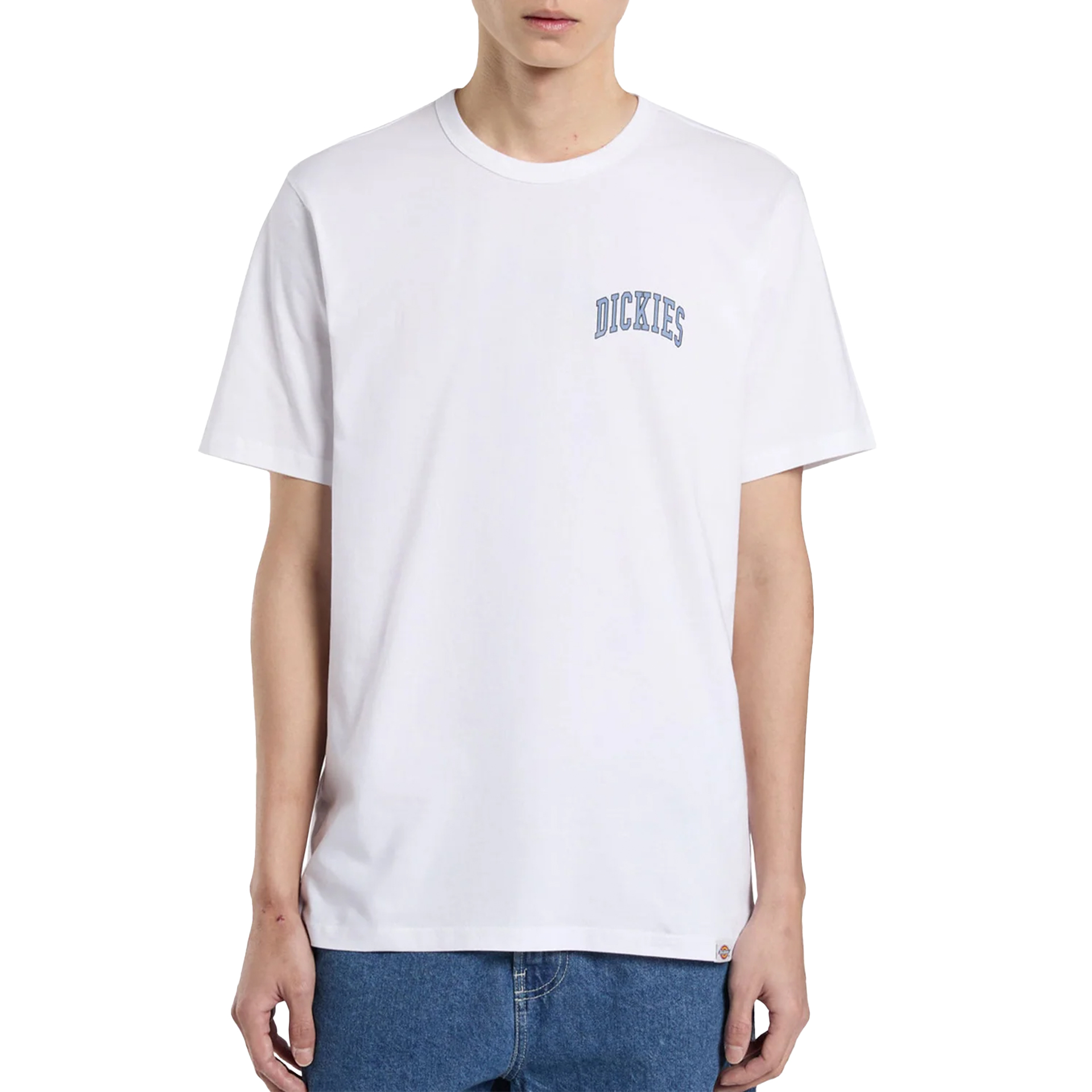 Dickies T-shirt Aitkin Chest White