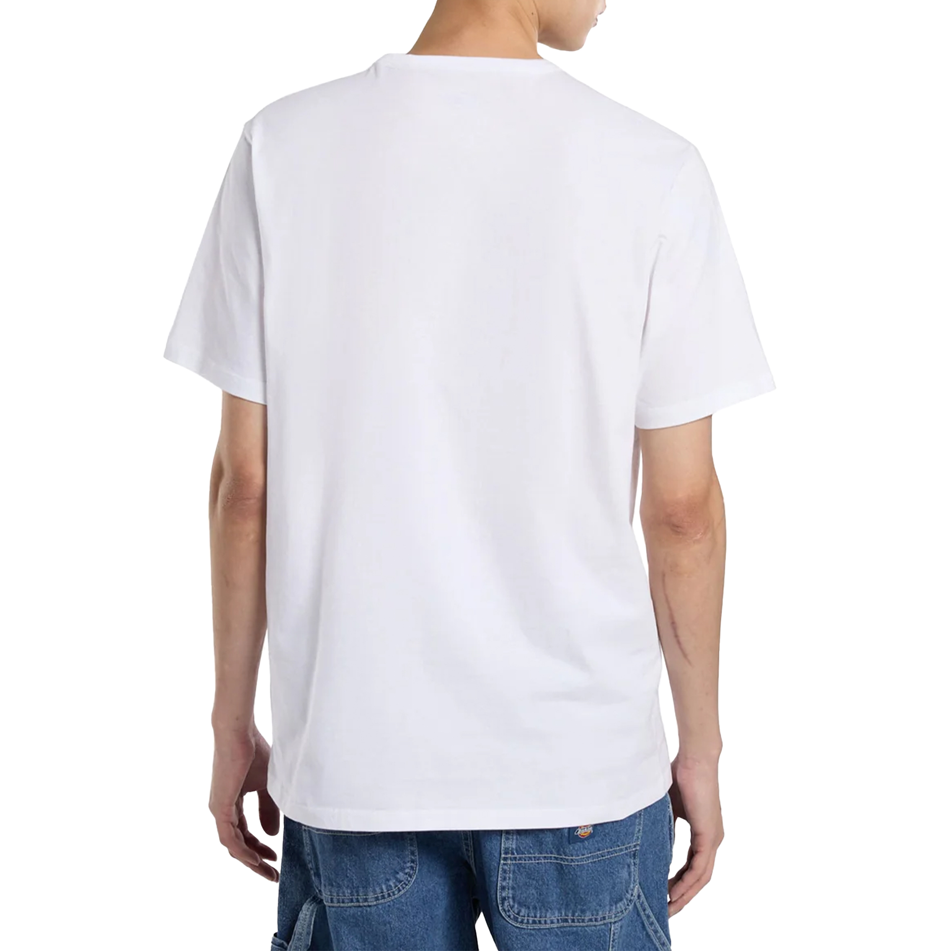 Dickies T-shirt Aitkin Chest White