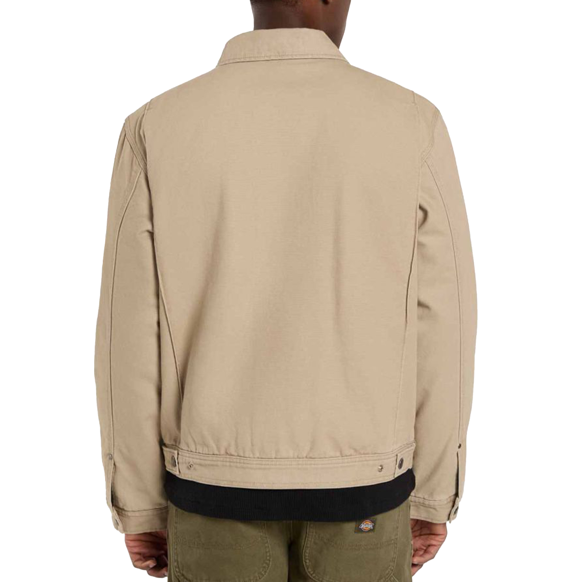Dickies Casaco Painter Canvas Desert Sand