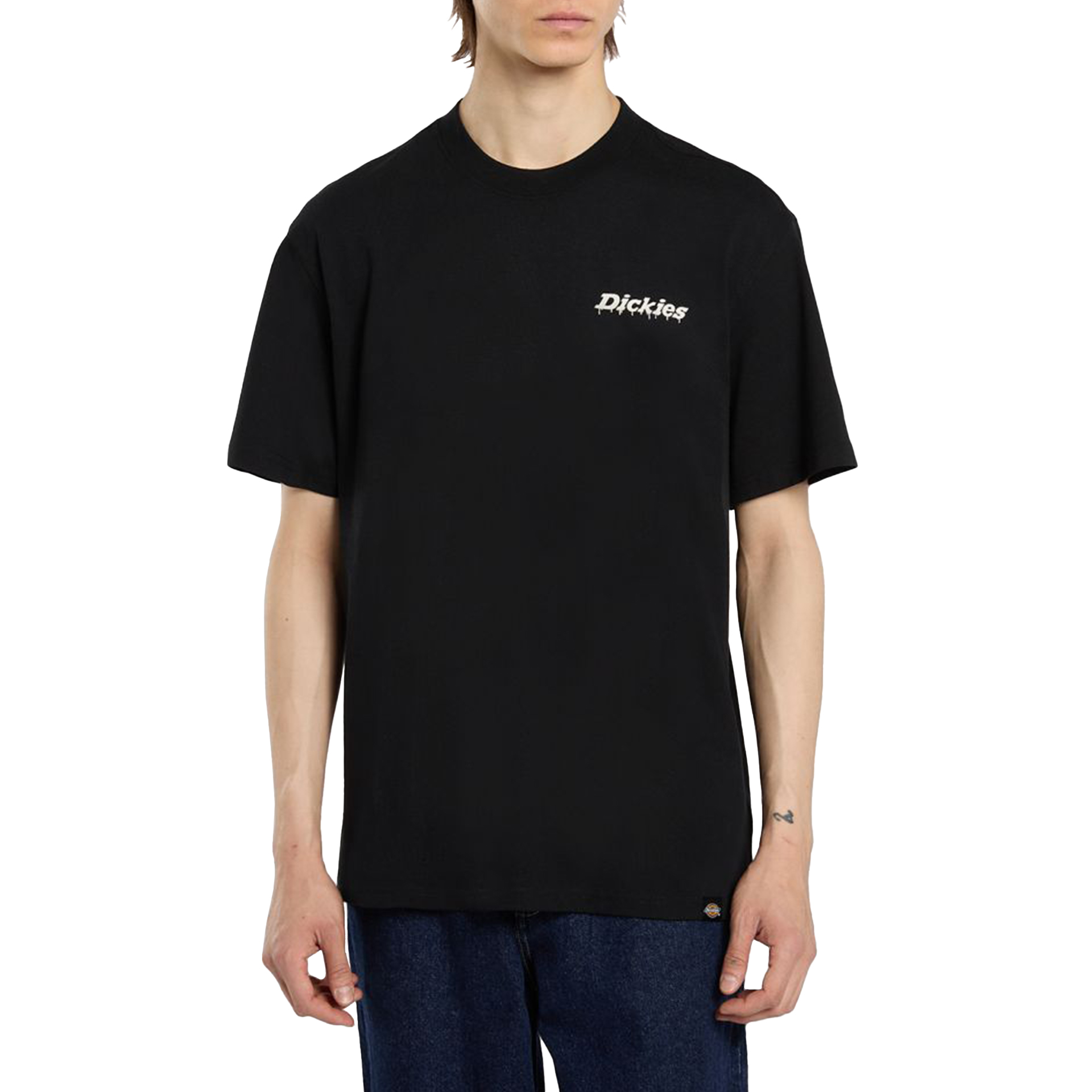 Dickies T-shirt Statesville Black