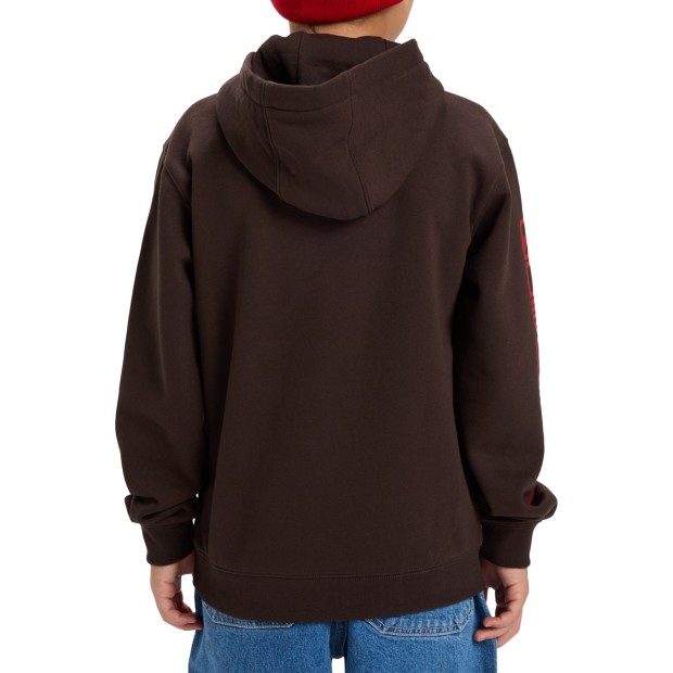 Quiksilver Sweat Omnilog Hood Yth Chocolate Brown