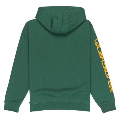 Quiksilver Sweat Omnilog Hood Yth Trekking Green