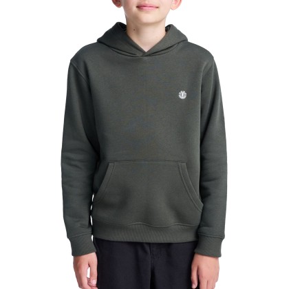 Element Sweat Capuz Icon Embroidery Forest Night