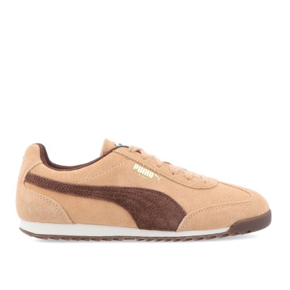 Puma Arizona Sd - Warm Beige-chestnut Brown-puma Gold