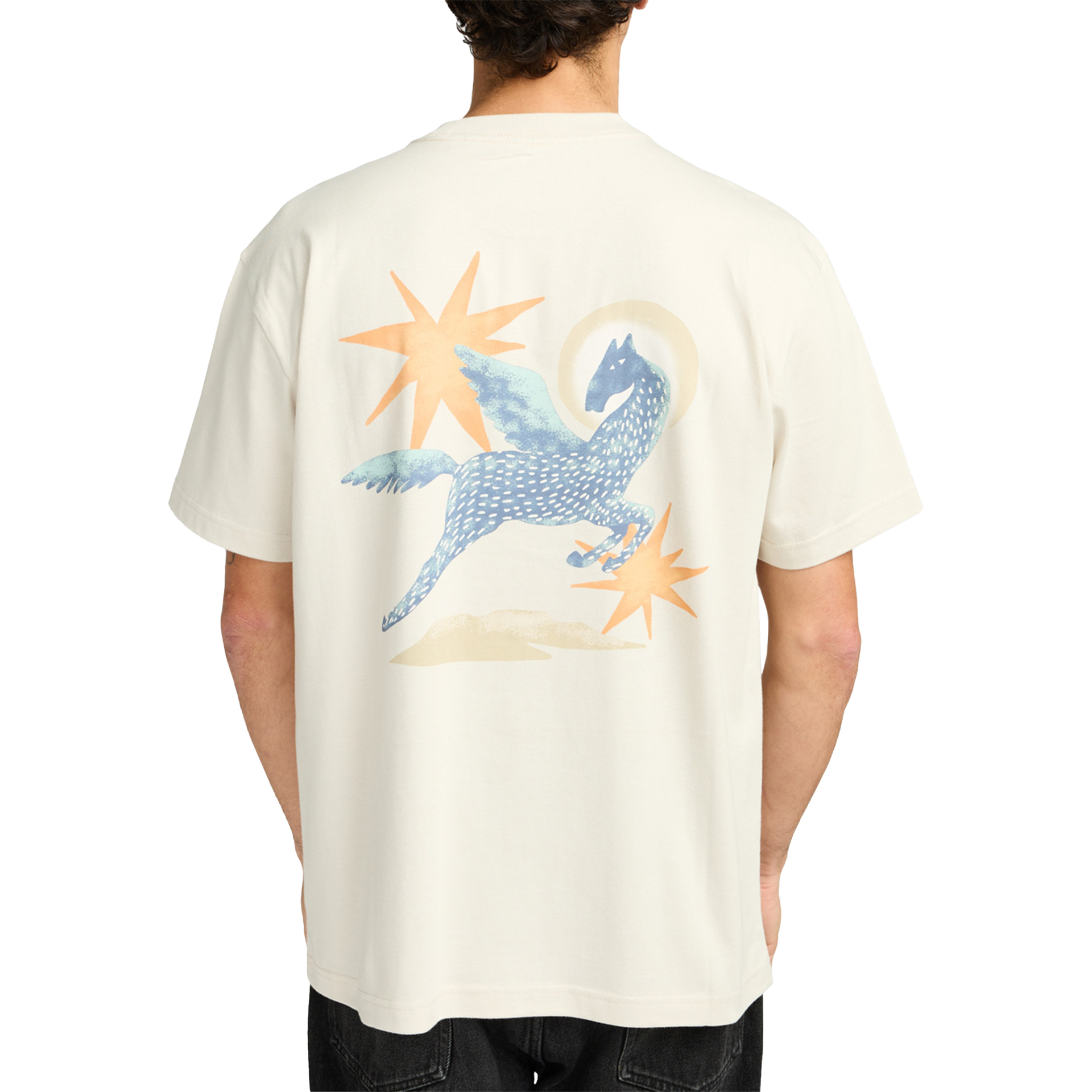 Rvca T-shirt Pegasus Ceramic